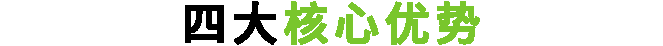 四大核心優(yōu)勢(shì)